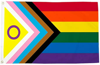 The Pride flag (2021 version)