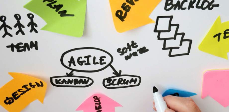 An image of agile training and the different disciplines that feed into it 