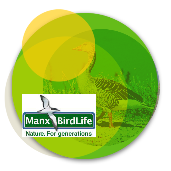 An image of the Manx BirdLife logo