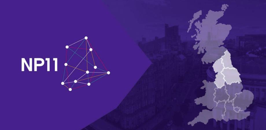 An example of an NP11 website