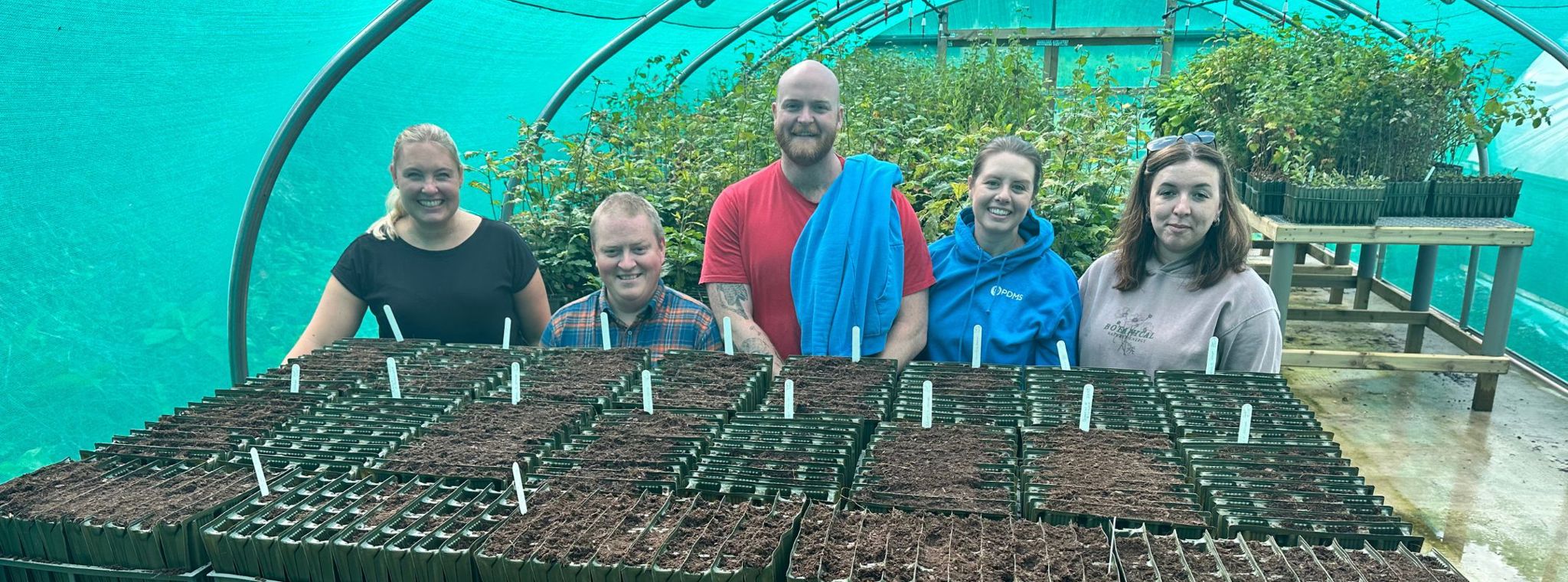A photo of PDMS volunteers in the polytunnel at Milntown Nursery standing behind the trays of acorns they planted