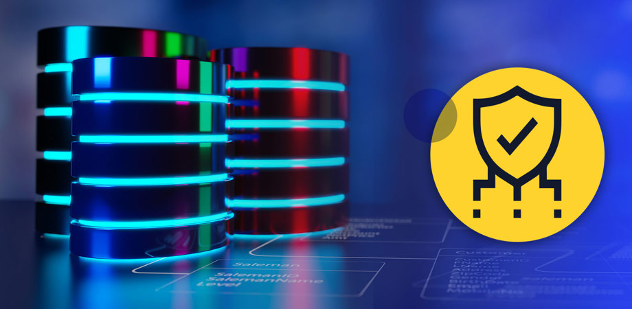 Banner image representing data with a shield icon containing a tick