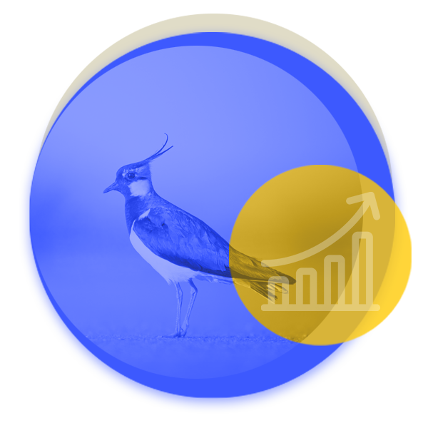 An image of a bird with a graph heading up